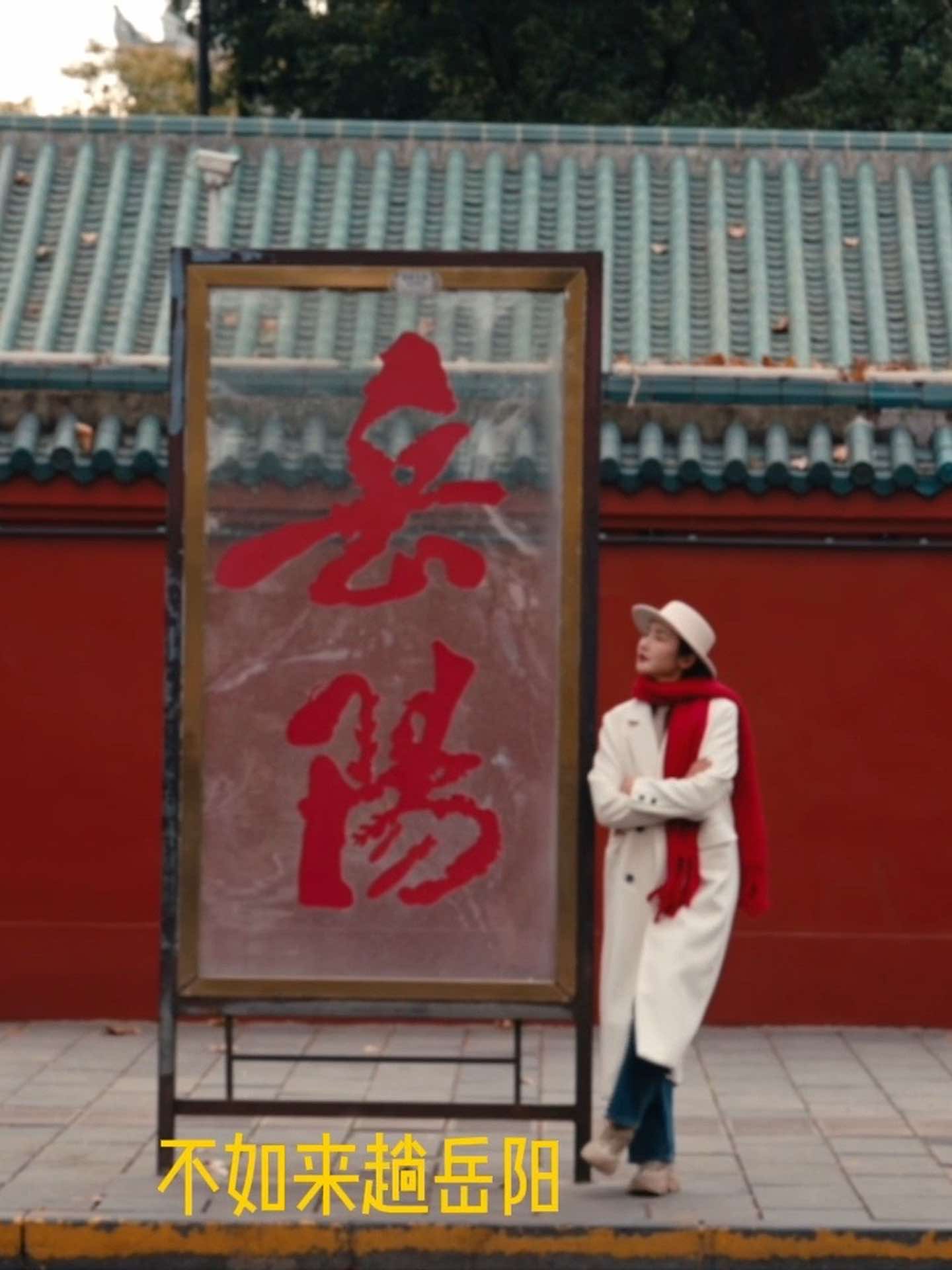 白日梦想家 avatar